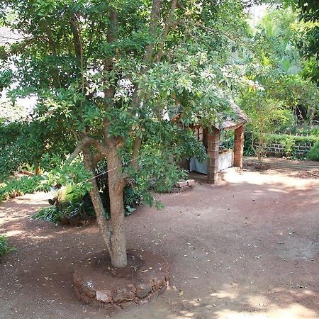 Cancio'S House Ξενοδοχείο Aldona Εξωτερικό φωτογραφία